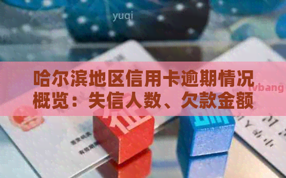哈尔滨地区信用卡逾期情况概览：失信人数、欠款金额及影响因素全面解析