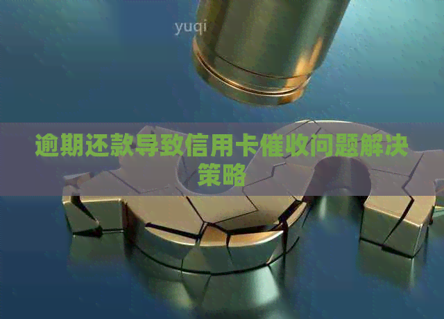 逾期还款导致信用卡问题解决策略