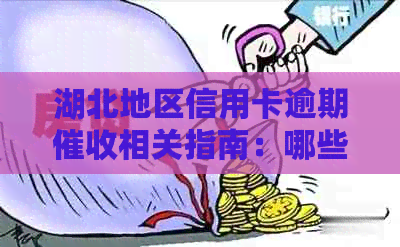湖北地区信用卡逾期相关指南：哪些银行信用卡可以用于还款？