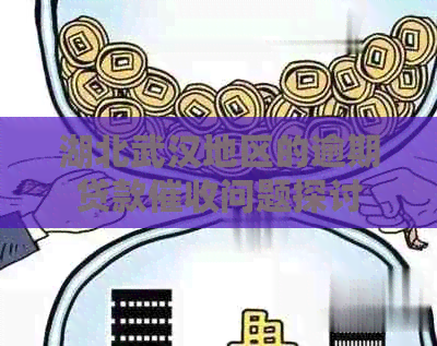 湖北武汉地区的逾期贷款问题探讨