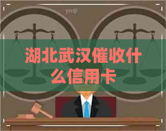 湖北武汉什么信用卡