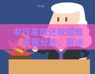 中行呆账还款困难：原因分析、解决策略与影响探讨
