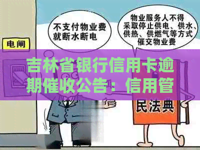 吉林省银行信用卡逾期公告：信用管理策略与措分析