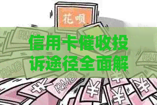 信用卡投诉途径全面解析：如何有效     与解决逾期问题？