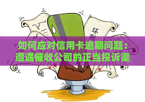 如何应对信用卡逾期问题：遭遇公司的正当投诉渠道与方法
