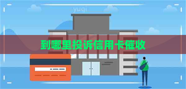 到哪里投诉信用卡
