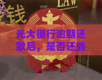 光大银行逾期还款后，是否还能选择更低还款额度？如何处理？