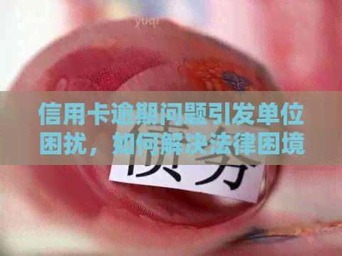 信用卡逾期问题引发单位困扰，如何解决法律困境？