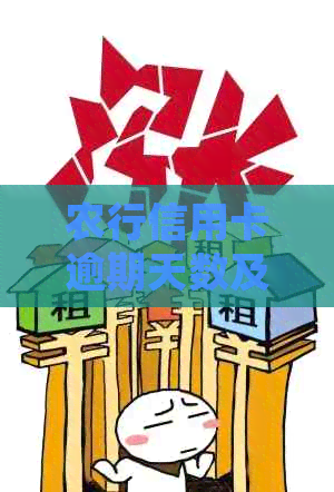 农行信用卡逾期天数及其对的影响：详细解答与建议