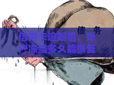 信用卡逾期后，账户冻结多久能恢复？解决逾期影响的方法和时间