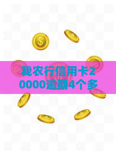 我农行信用卡20000逾期4个多5个月了怎么办？