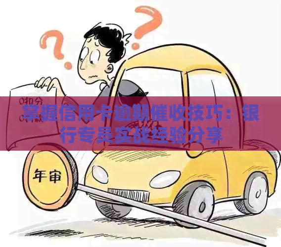 掌握信用卡逾期技巧：银行专员实战经验分享