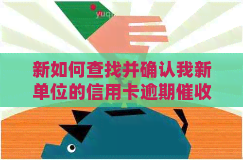 新如何查找并确认我新单位的信用卡逾期信息？