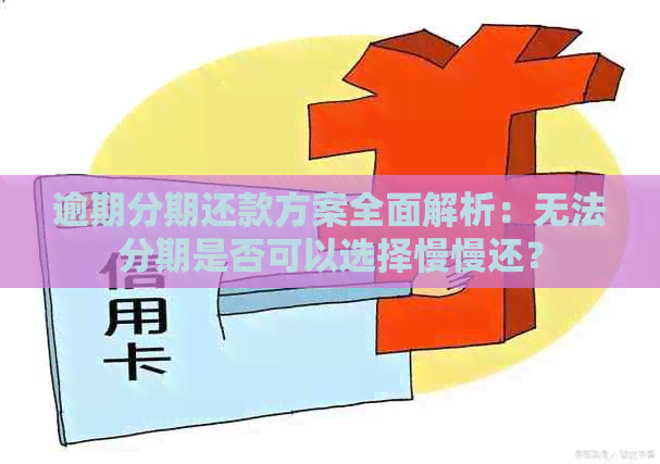 逾期分期还款方案全面解析：无法分期是否可以选择慢慢还？