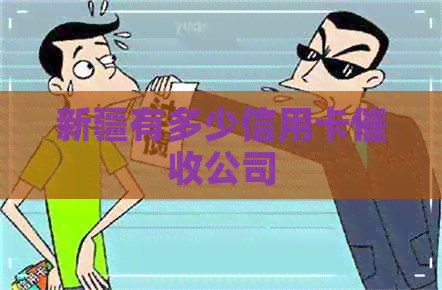 新疆有多少信用卡公司