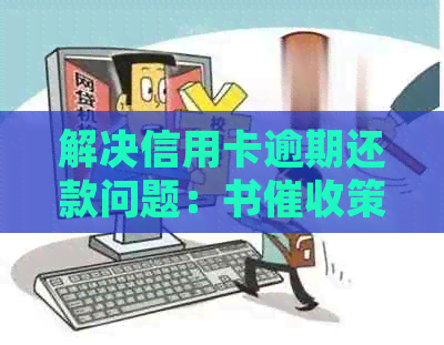 解决信用卡逾期还款问题：书策略与全面指南