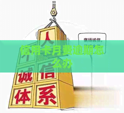 信用卡月费逾期怎么办