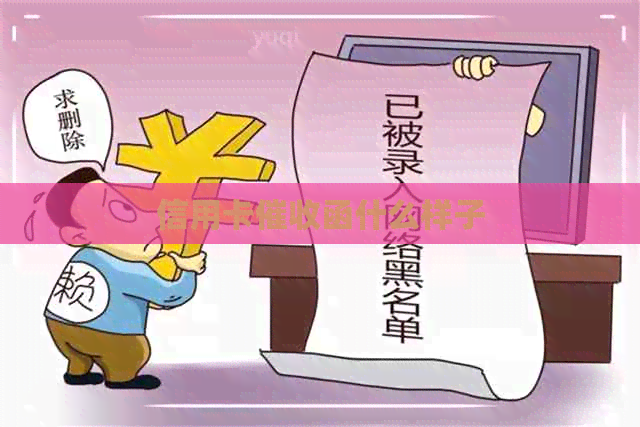 信用卡函什么样子