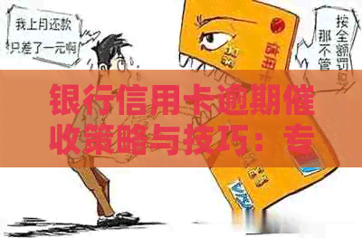 银行信用卡逾期策略与技巧：专员工作实战指南