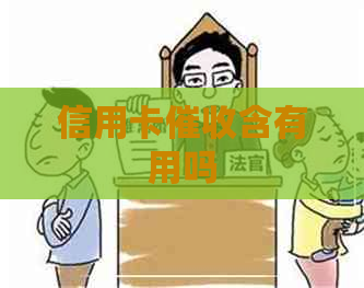 信用卡含有用吗