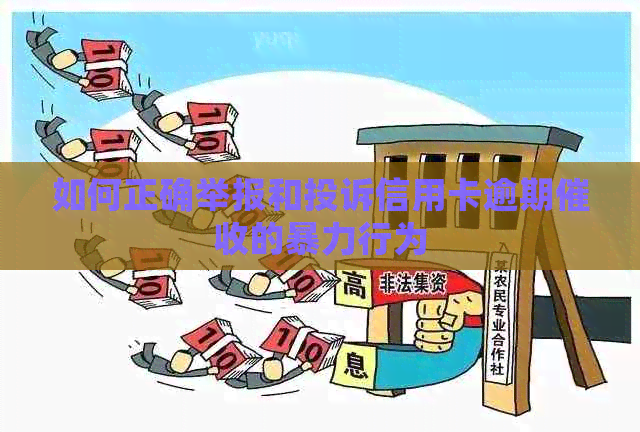 如何正确举报和投诉信用卡逾期的行为