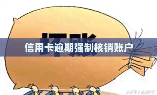 信用卡逾期强制核销账户