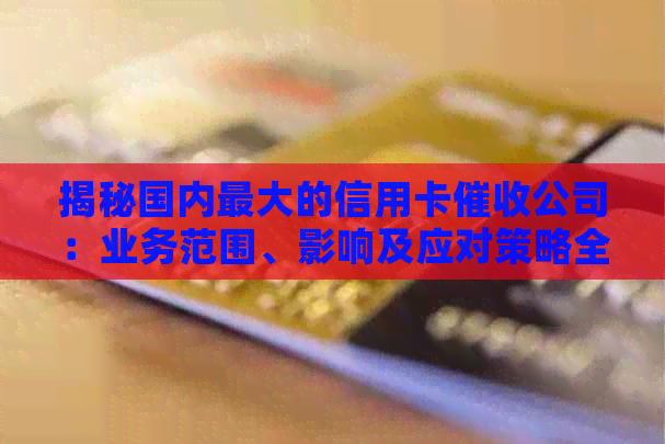 揭秘国内更大的信用卡公司：业务范围、影响及应对策略全面解析