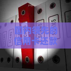 国内领先的信用卡还款解决方案提供商