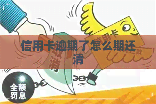 信用卡逾期了怎么期还清