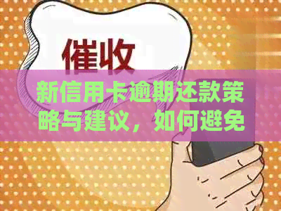 新信用卡逾期还款策略与建议，如何避免不良信用记录？