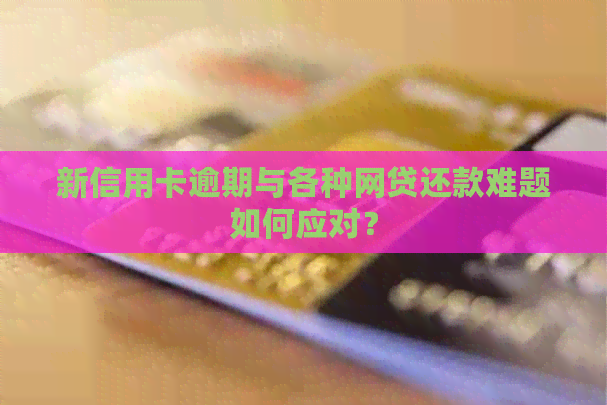新信用卡逾期与各种网贷还款难题如何应对？