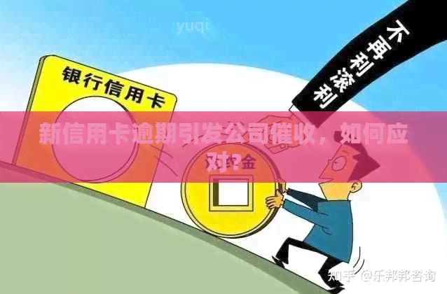 新信用卡逾期引发公司，如何应对？