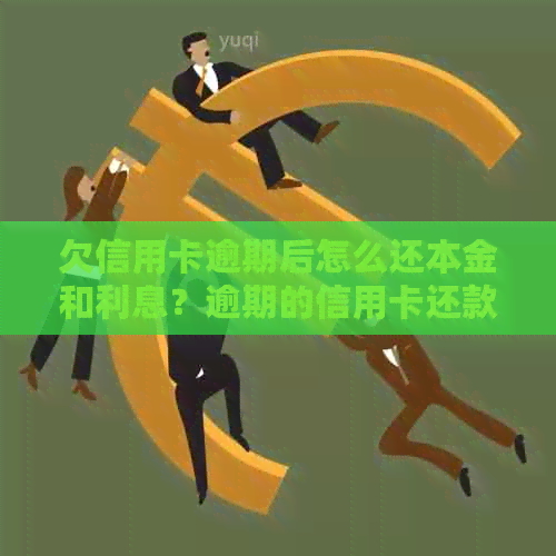 欠信用卡逾期后怎么还本金和利息？逾期的信用卡还款攻略来了！