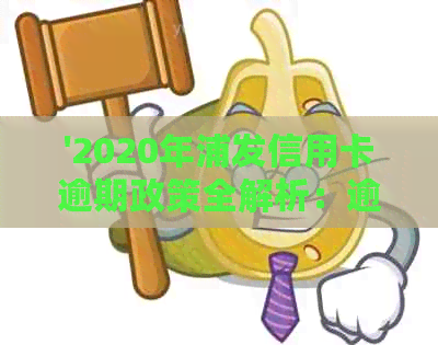 '2020年浦发信用卡逾期政策全解析：逾期查询、起诉概率及新政策'