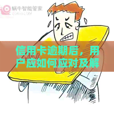 信用卡逾期后，用户应如何应对及解决相关问题