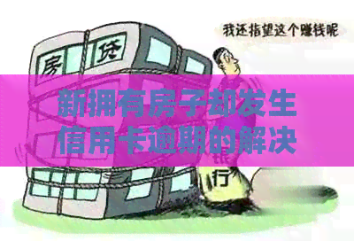 新拥有房子却发生信用卡逾期的解决策略和建议