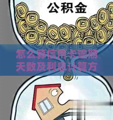 怎么算信用卡逾期天数及利息计算方法