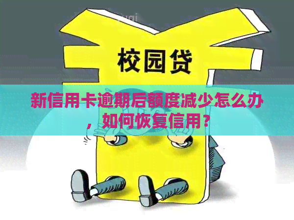 新信用卡逾期后额度减少怎么办，如何恢复信用？