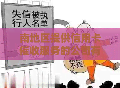 南地区提供信用卡服务的公司有哪些？