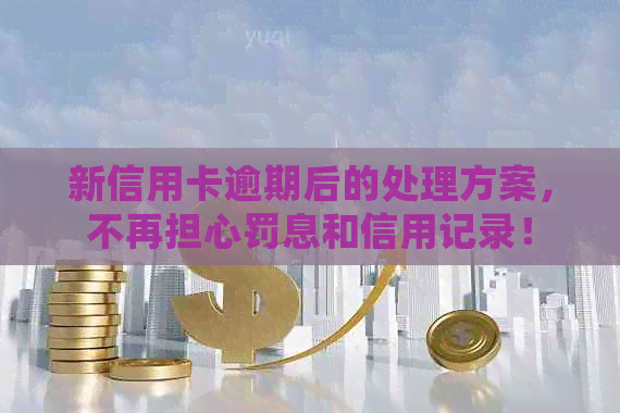 新信用卡逾期后的处理方案，不再担心罚息和信用记录！