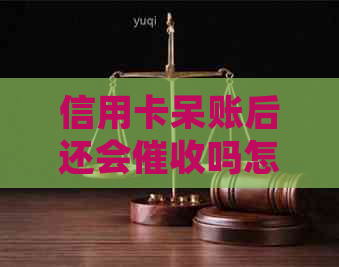 信用卡呆账后还会吗怎么办？如何处理信用卡呆账问题？请提供办理建议。