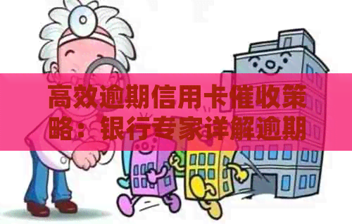 高效逾期信用卡策略：银行专家详解逾期处理与信用修复