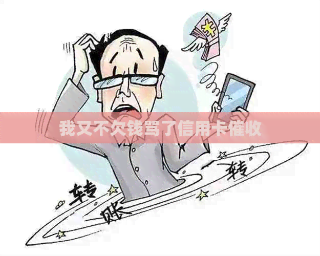 我又不欠钱骂了信用卡