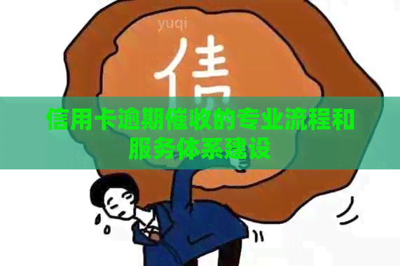信用卡逾期的专业流程和服务体系建设