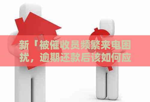 新「被员频繁来电困扰，逾期还款后该如何应对？」