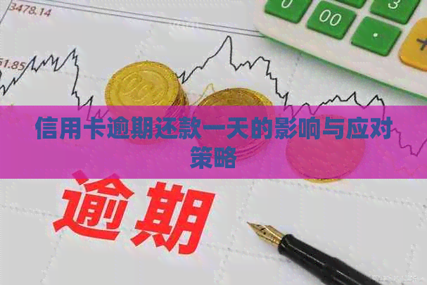 信用卡逾期还款一天的影响与应对策略