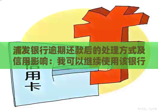浦发银行逾期还款后的处理方式及信用影响：我可以继续使用该银行的服务吗？