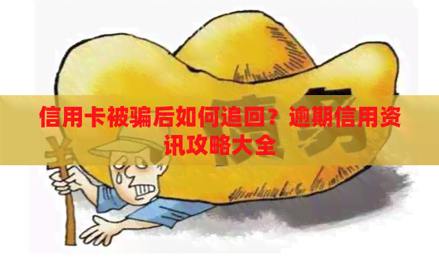信用卡被骗后如何追回？逾期信用资讯攻略大全