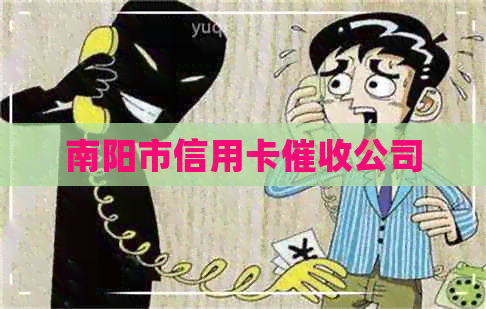 南阳市信用卡公司