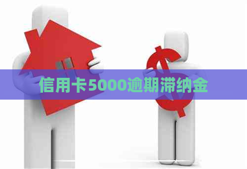 信用卡5000逾期滞纳金